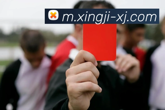 奖项图2